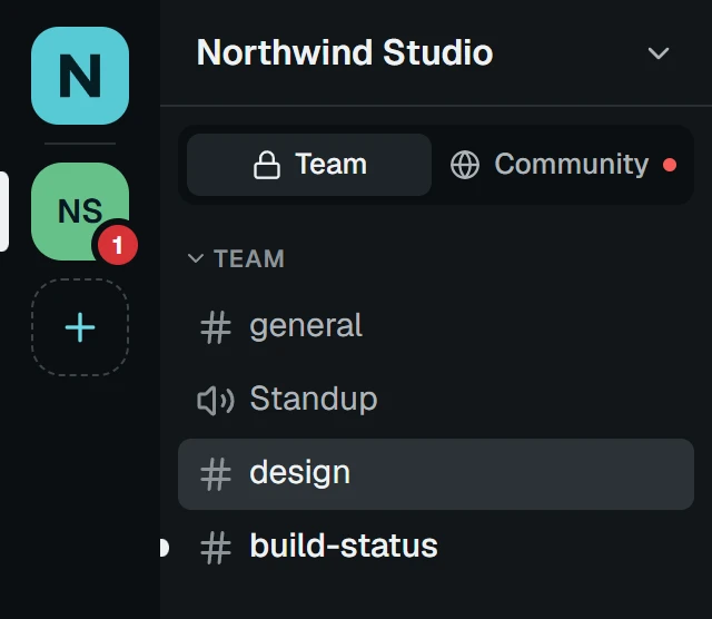 Maya's sidebar in the same space: a Team and Community switch, with the private team channels open.
